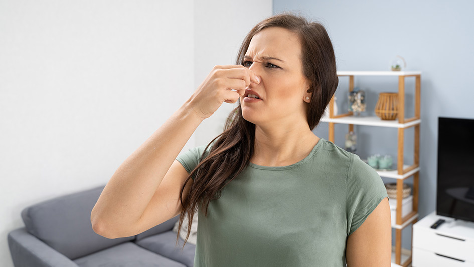 Six Common Air Conditioner Smells Explained and How to Fix the Issue