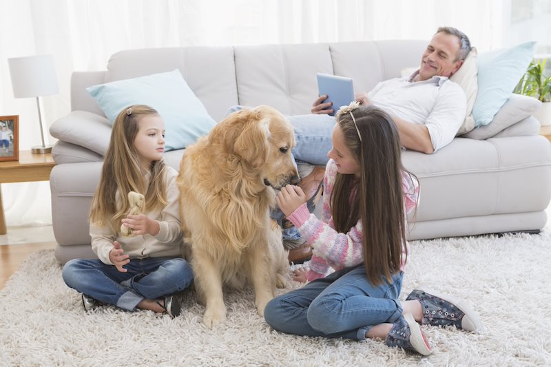 Family sitting with their Golden Retriever
